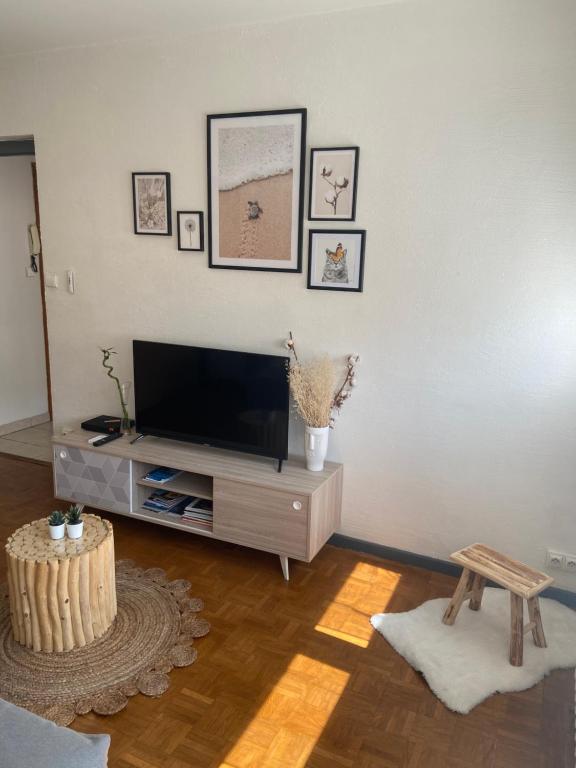 een woonkamer met een flatscreen-tv op een standaard bij Studio Aix les Bains entre centre-ville et lac in Aix-les-Bains