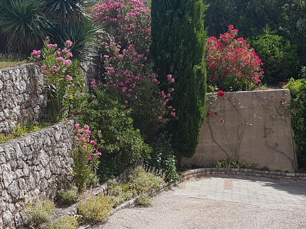 Ogród w obiekcie Casa Croatia