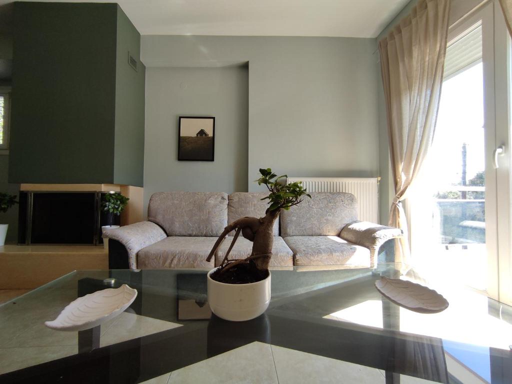 Posezení v ubytování Gaia Guest House