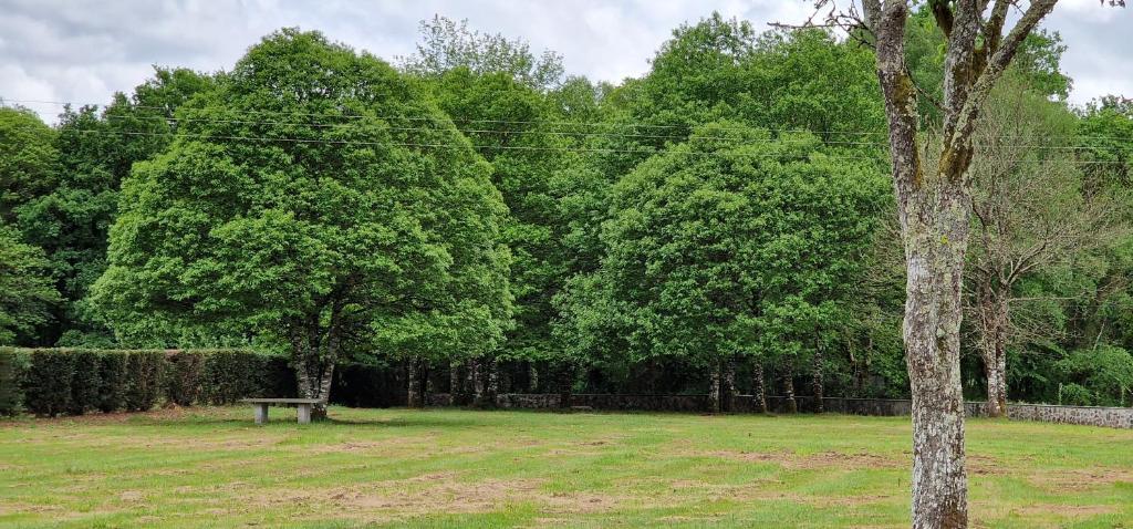 Habitaciones La Cuevona de Guitiriz,Parga, en el camino norte Lugo - 18