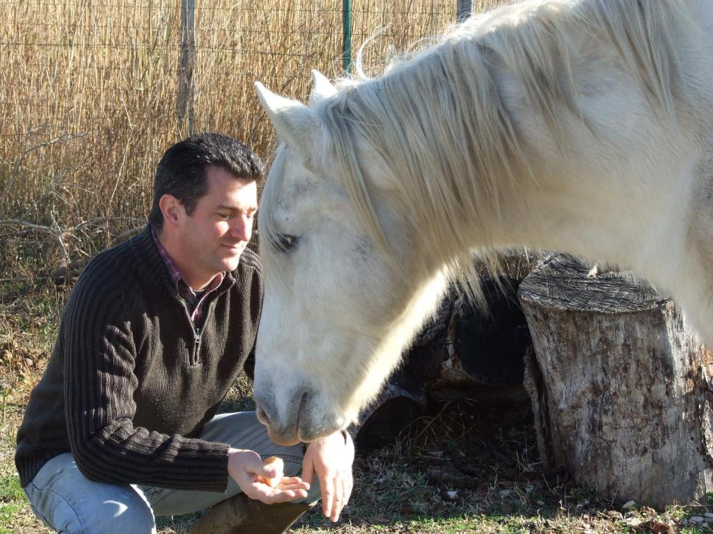 a man is feeding a white horse at Auberge des Plaines - Appartements avec terrasse in Arles