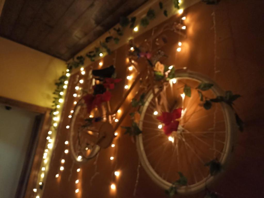 Una bicicleta con luces de Navidad en una pared en La Bicicletta Rifiorita, en Ferrara