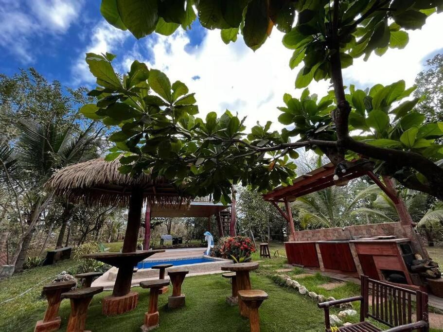 a garden with a picnic table and a pool at Casa vacacional Brisas del Mar in San Juanillo