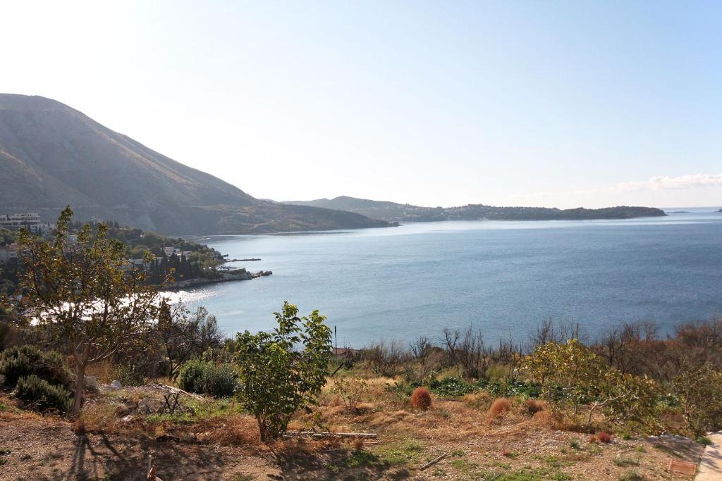 Príroda v okolí apartmánu