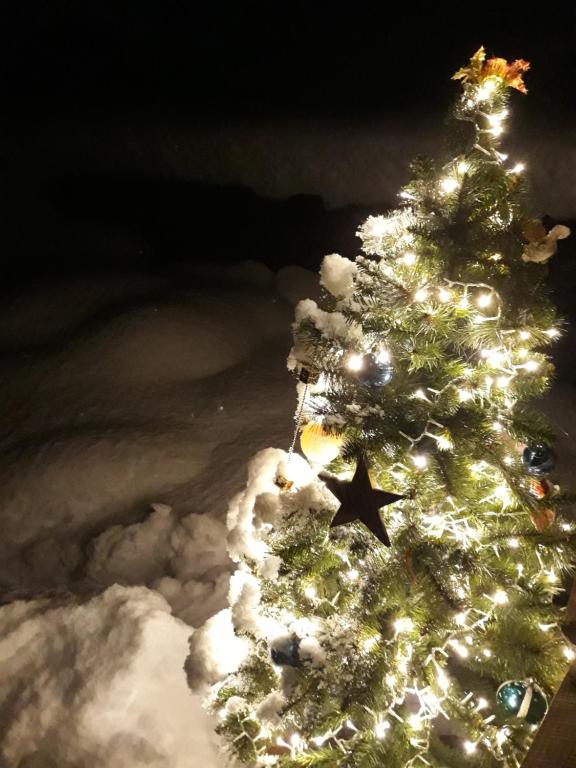 Casa all'Alpe Gaggetto B & B v zime