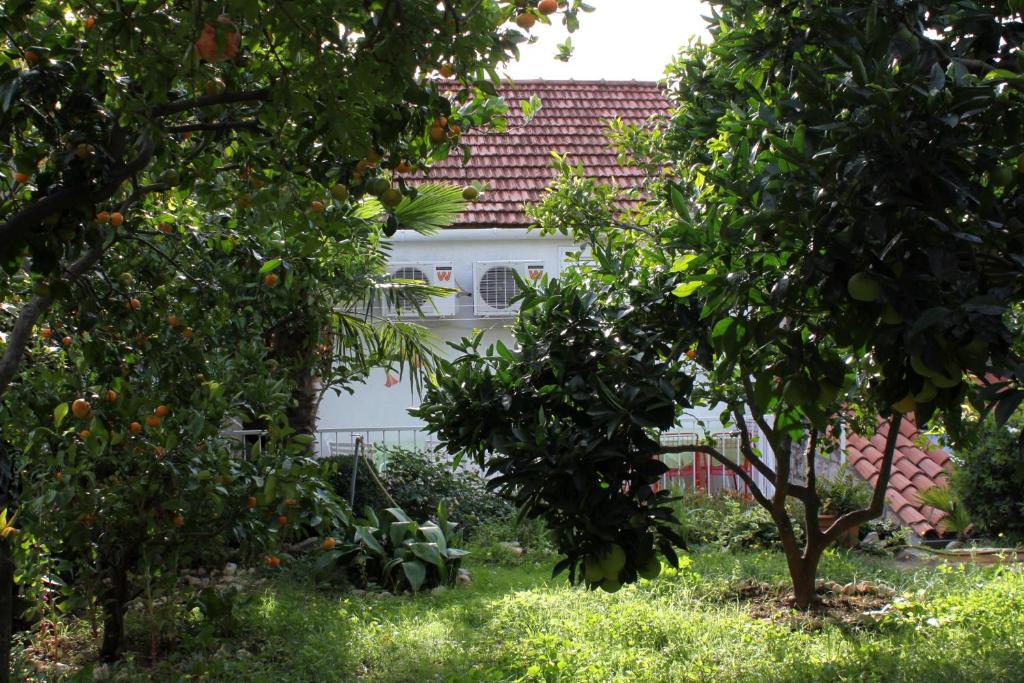 une maison blanche derrière quelques arbres dans une cour dans l'établissement Apartments with WiFi Trsteno, Dubrovnik - 4746, à Trsteno