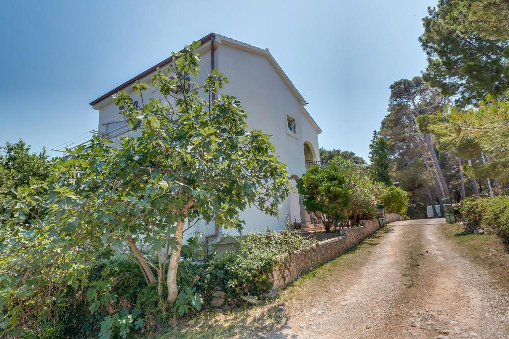 Vonkajšia záhrada v ubytovaní Apartments with a parking space Mali Losinj (Losinj) - 3441