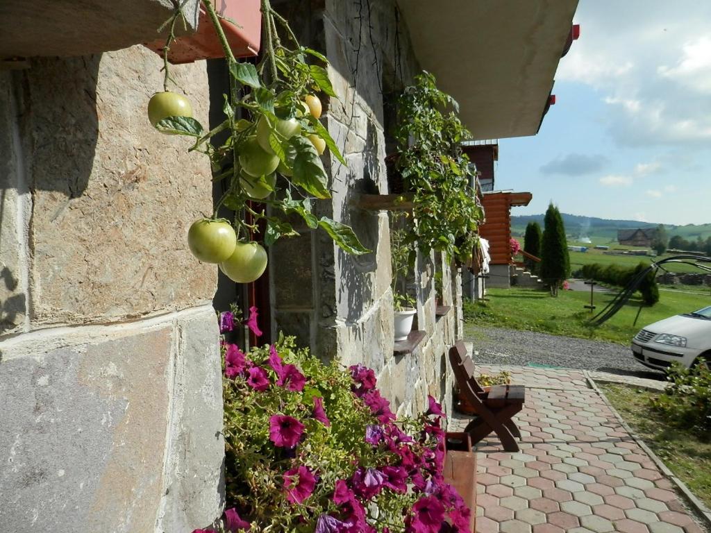 Zahrada ubytování Penzion Slovakia
