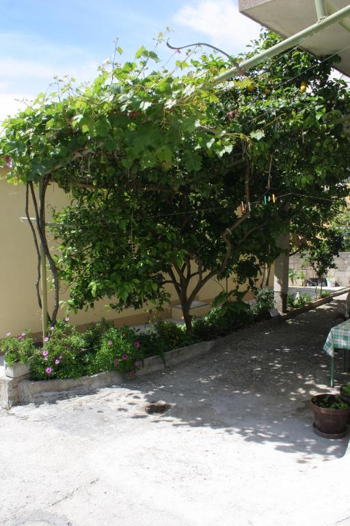 Fotografia z galérie ubytovania Apartments by the sea Baska Voda, Makarska - 2724 v destinácii Baška Voda