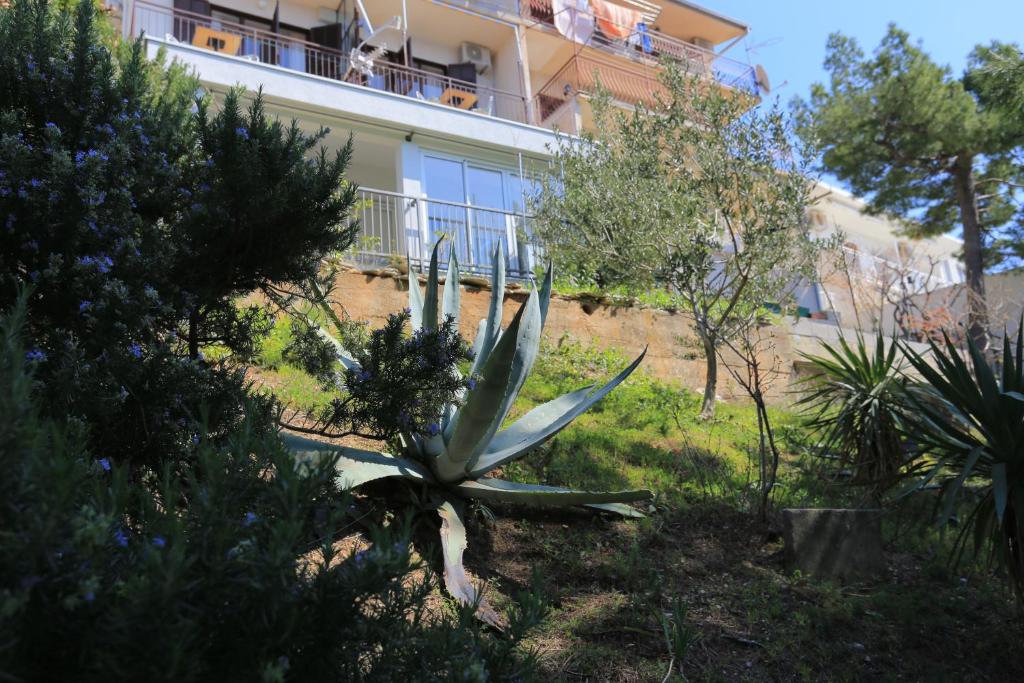 Vonkajšia záhrada v ubytovaní Apartments by the sea Brela, Makarska - 2718