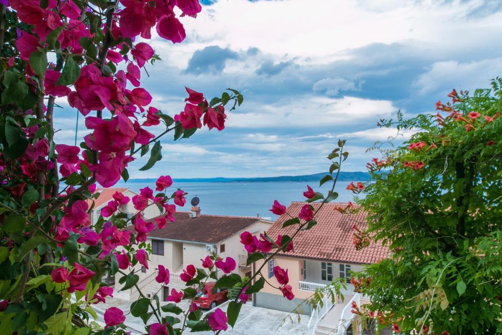 Príroda v okolí apartmánu
