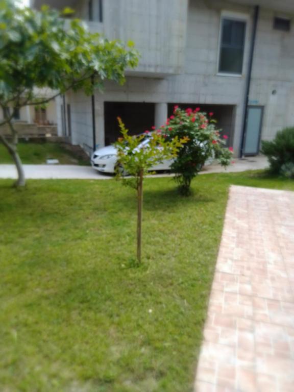 Vonkajšia záhrada v ubytovaní Apartmani Crkvina