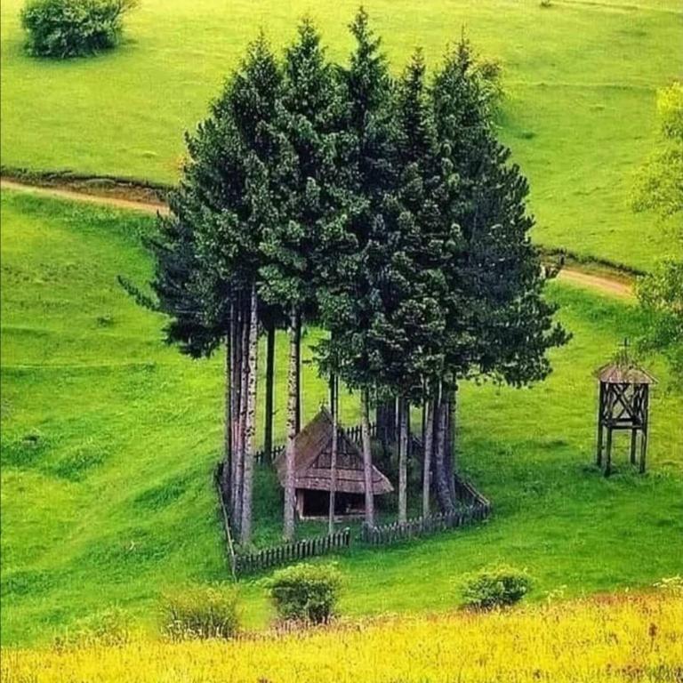 Příroda nedaleko apartmánu