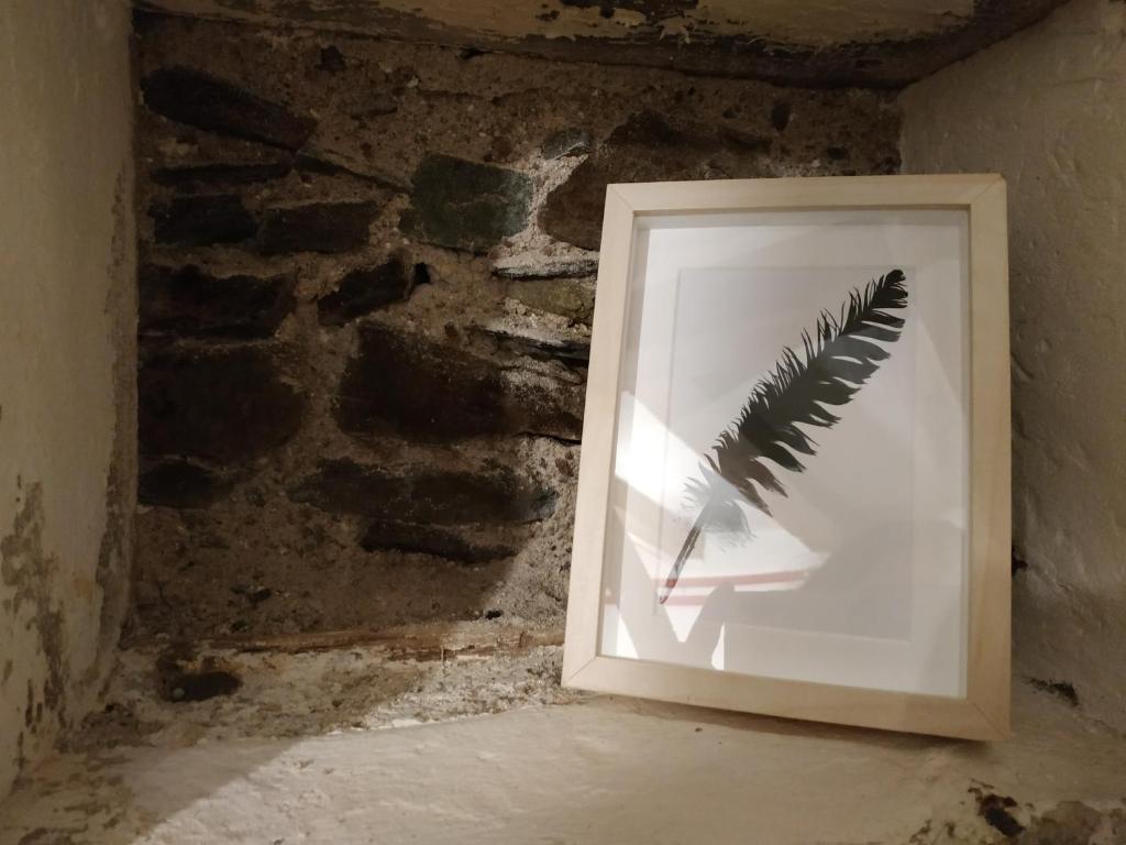 uma imagem de uma pena numa moldura numa parede em La maison de l'échauguette em Ancenis