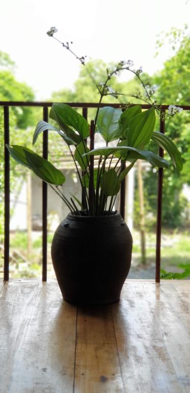 Tuyet's Homestay - 4