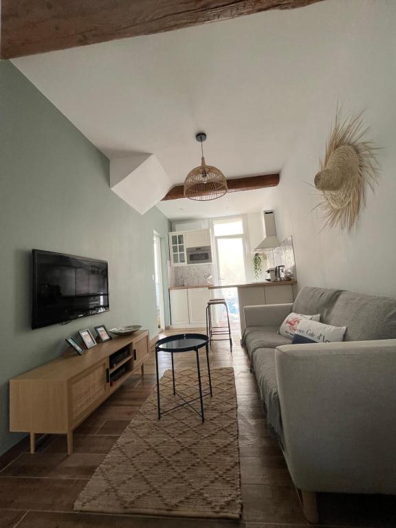 Televízia a/alebo spoločenská miestnosť v ubytovaní Studio d'exception Mourillon CLIM & plage à pied
