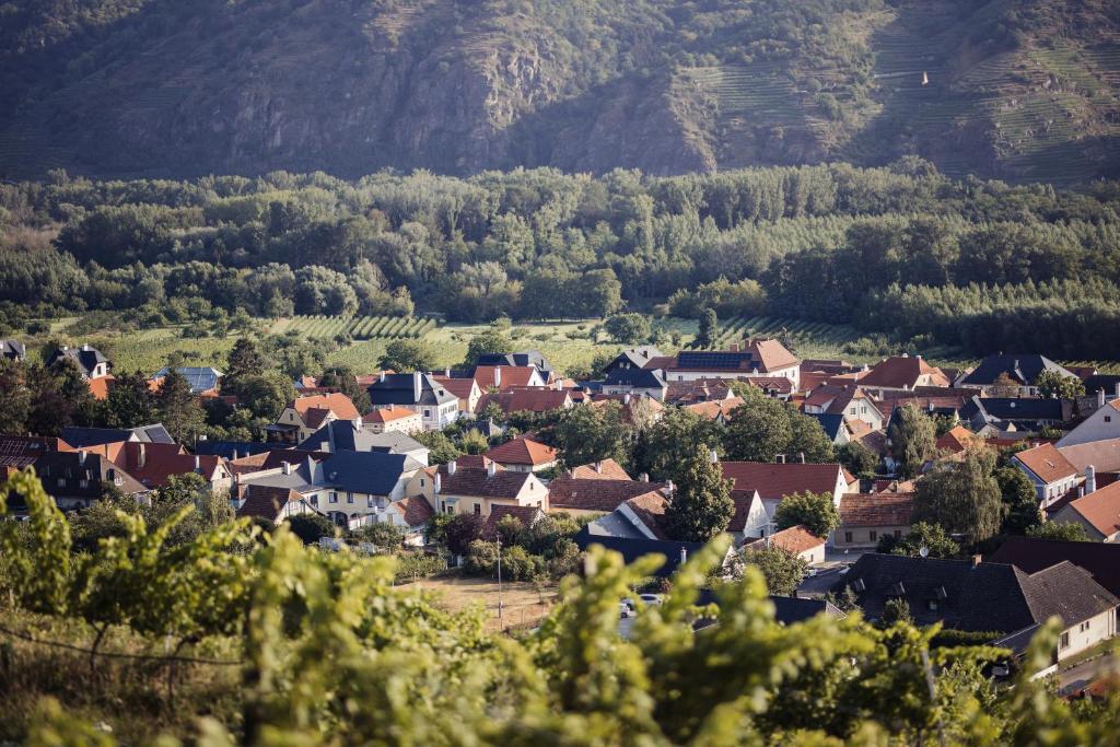 een klein stadje in de bergen met huizen en bomen bij Winzerhof Supperer in Rossatz