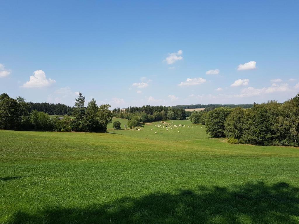 Příroda nedaleko hotelu