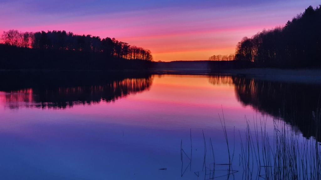 Fotografia z galérie ubytovania Domki nad jeziorem Łąkowa v destinácii Gietrzwałd