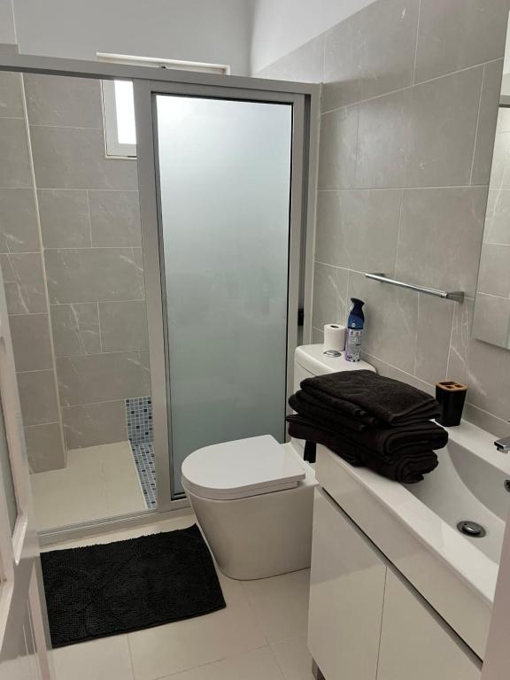 a bathroom with a shower and a toilet and a sink at Super appartement central avec patio. in Santa Maria