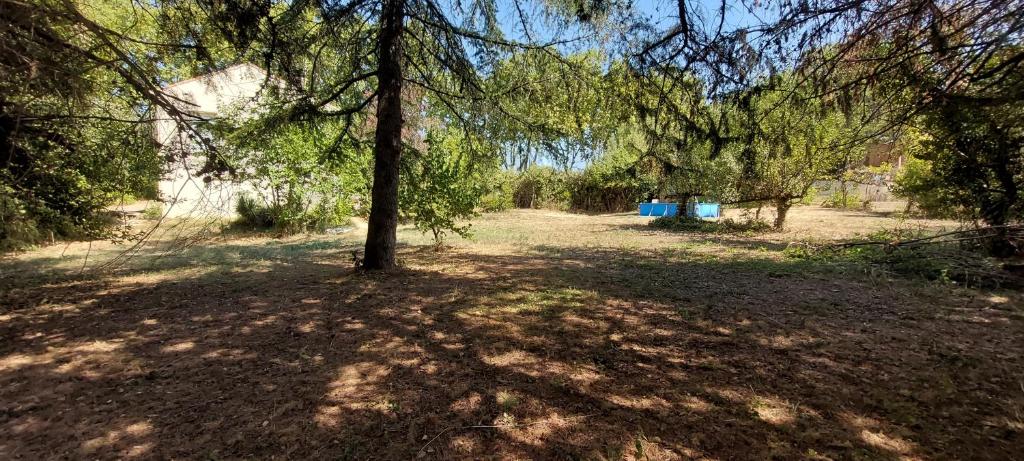 un arbre au milieu d'un champ dans l'établissement Maison sur 2000m² d'espace vert., à Bassan