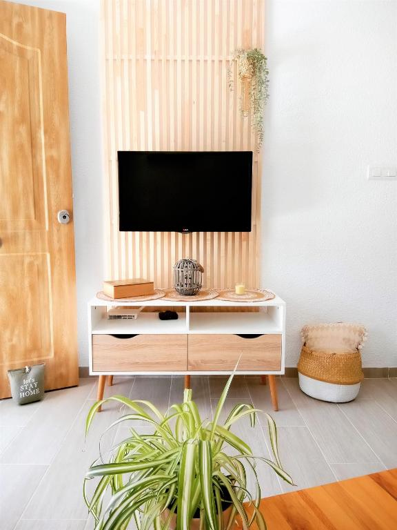 a television on a stand in a living room with plants at Casa Ilda (Gran Alacant) in Gran Alacant