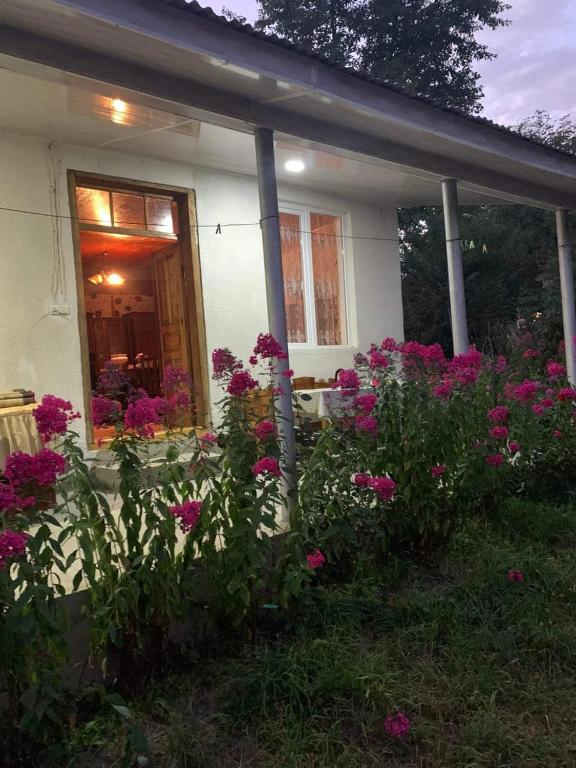Zahrada ubytování Guest house Mzia