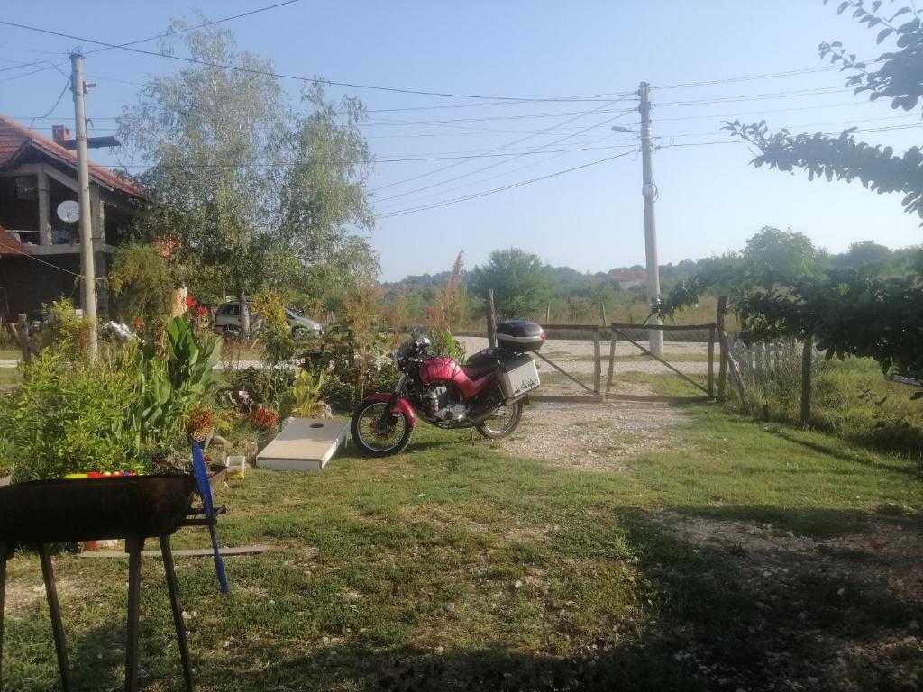 Vrt pred nastanitvijo Stancic 019