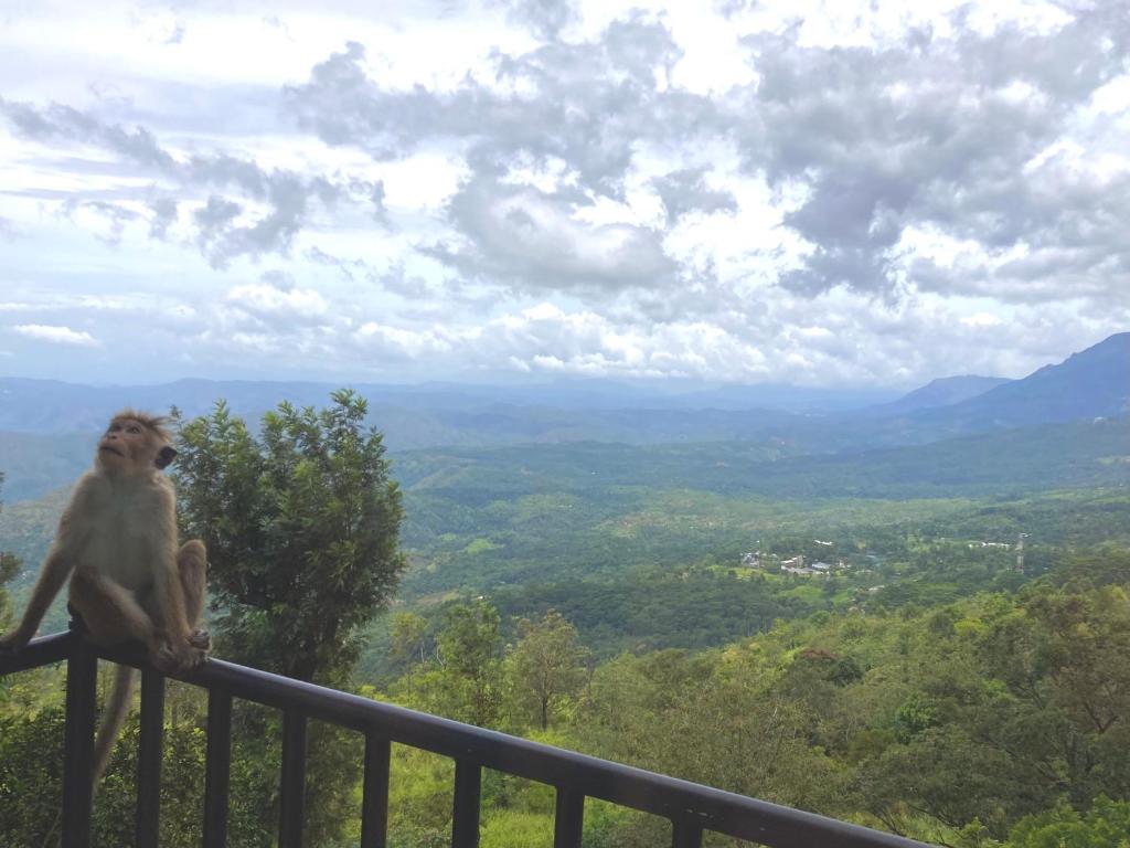 a monkey sitting on top of a rail at Hotel SkyFall in Haputale