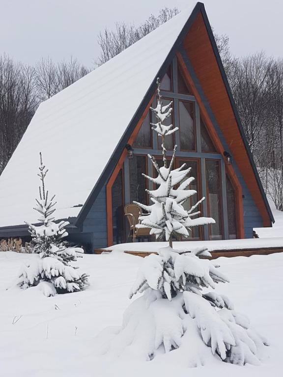 Una cabaña con un árbol cubierto de nieve delante de ella. en Dosbajka, en Małastów