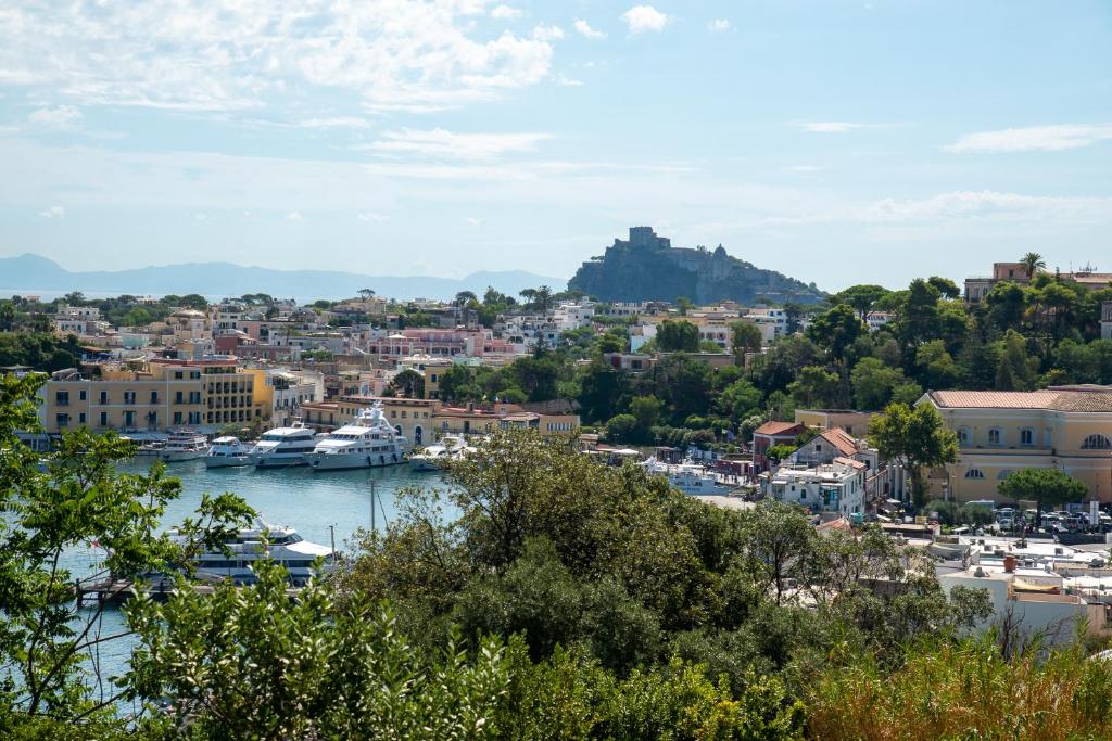 a view of a harbor with boats in the water at Appartamento con vista esclusiva sul Golfo d'Ischia in Ischia