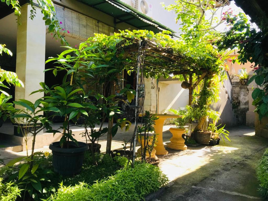 Zahrada ubytování Ayu Bisma Homestay