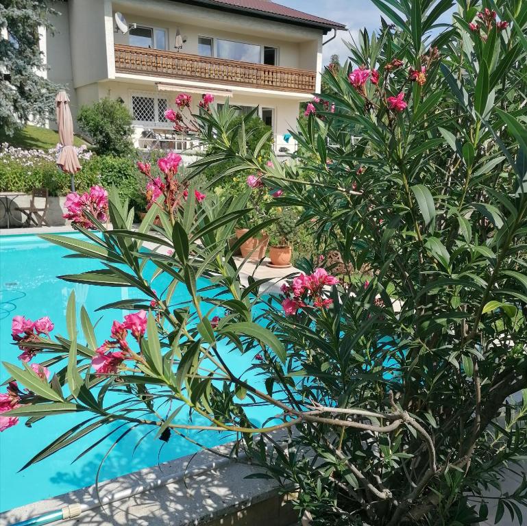 uma planta com flores rosas ao lado de uma piscina em Four Seasons Apartment "GREEN PARADISE" em Villach