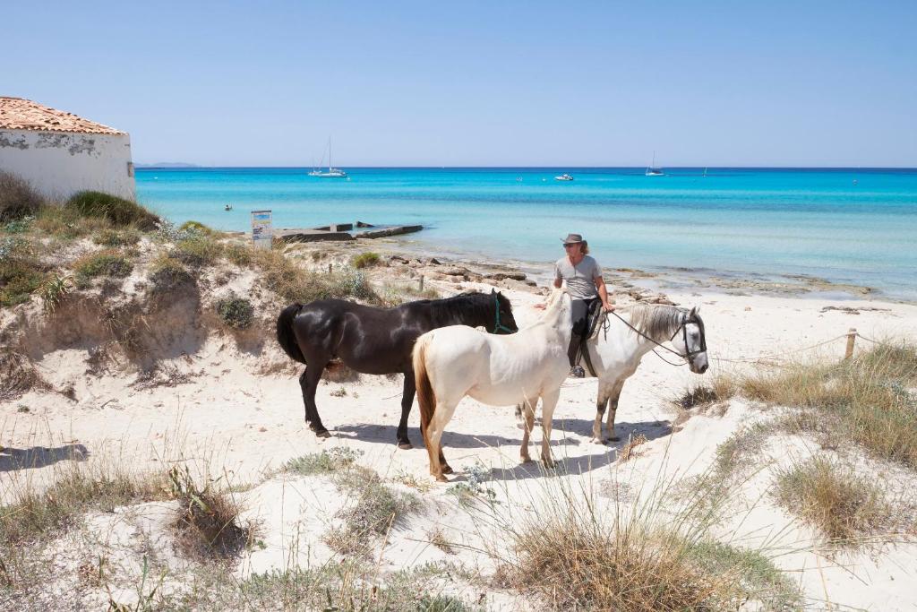 Mallorca Dream, Ses Salines – Bijgewerkte prijzen 2023