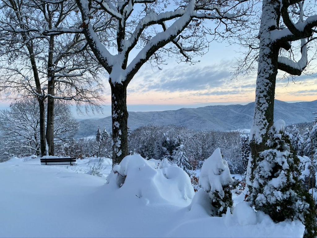Le Panorama - GÎTES MARCK – photo 12
