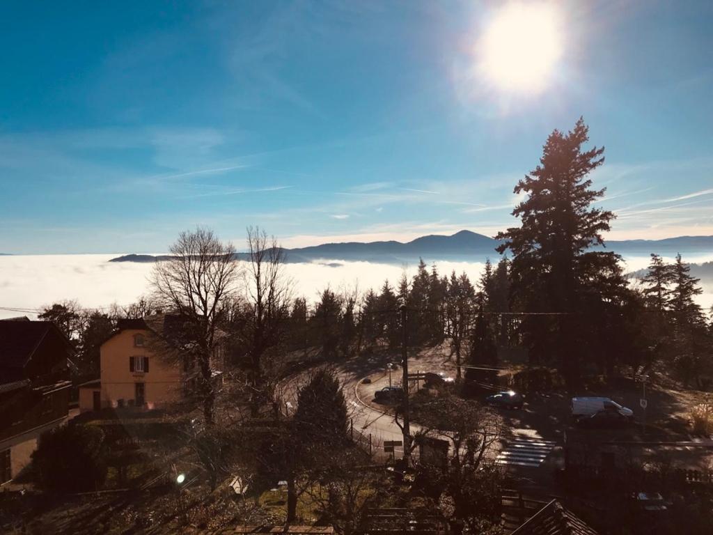 Le Panorama - GÎTES MARCK – photo 5