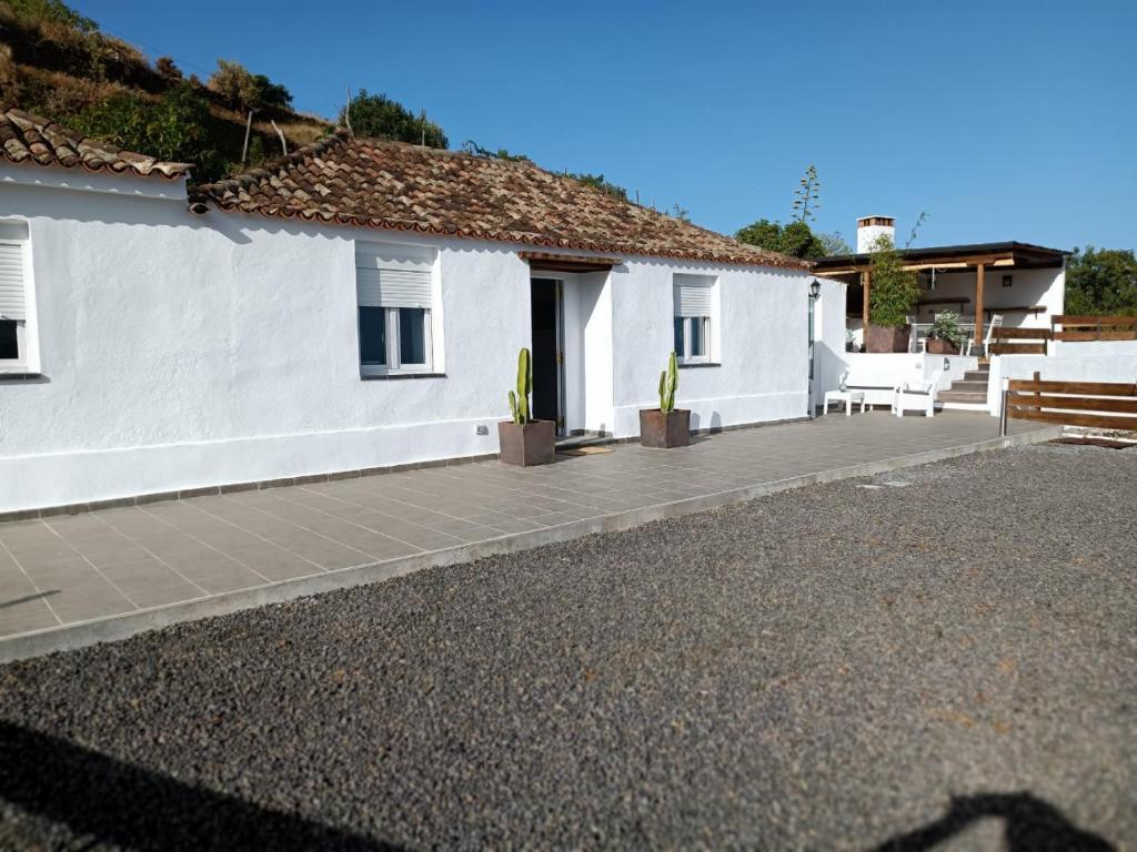 una casa bianca con un patio con due piante di Casa Nando a Santa Cruz de la Palma