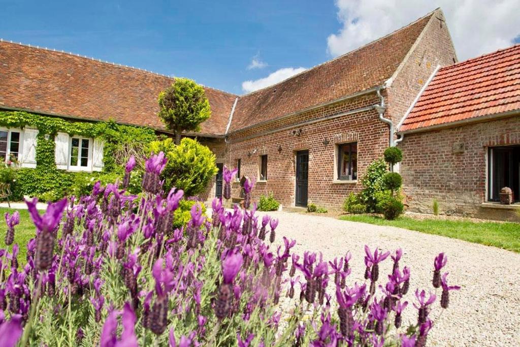 a field of purple flowers in front of a building at Le Paddock - Chambres et table d'hôtes in Le Déluge