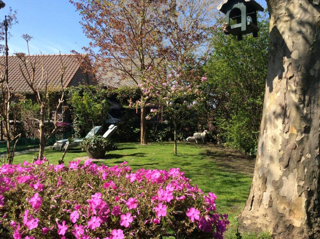 Zahrada ubytování B&B Le Jardin