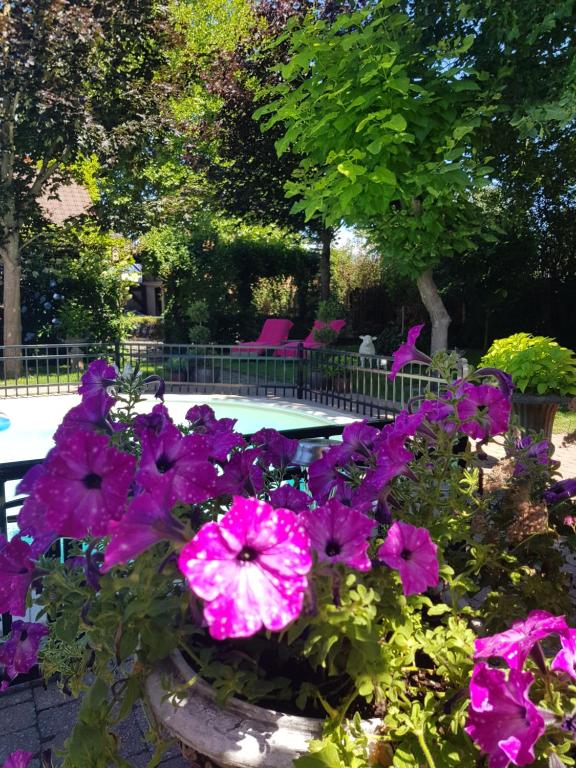 Zahrada ubytování B&B Le Jardin