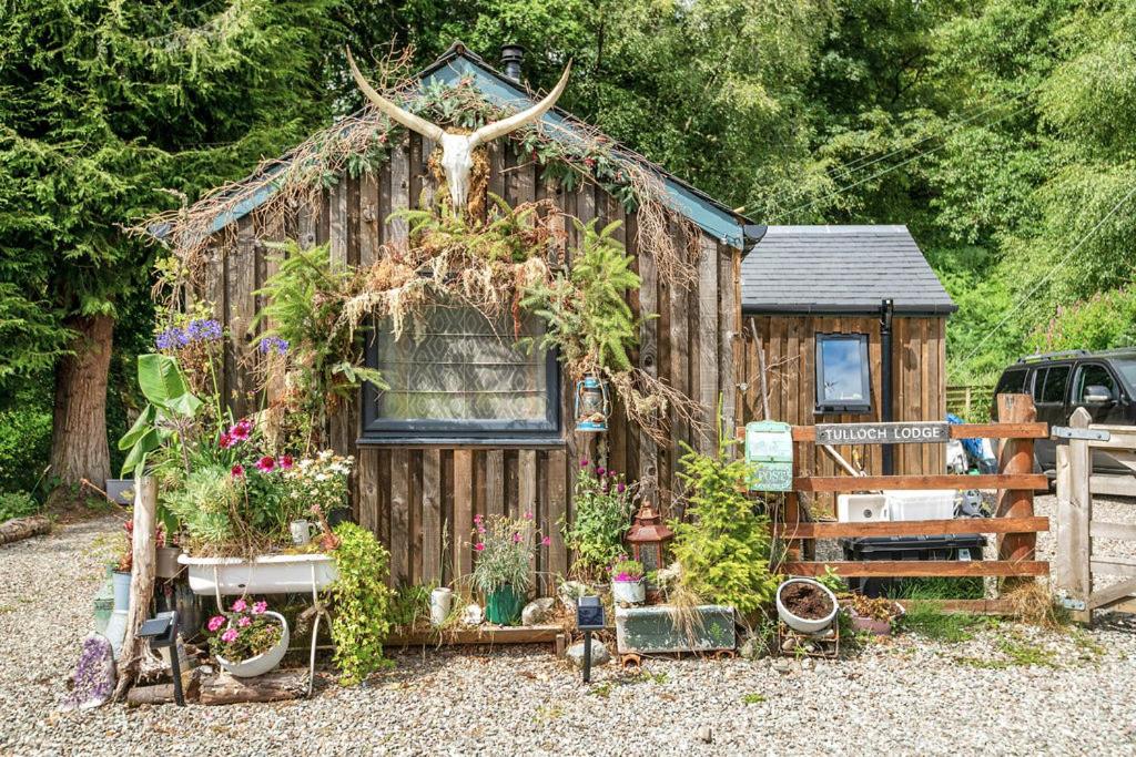 Zahrada ubytování The Loveshack Lodge Balquhidder