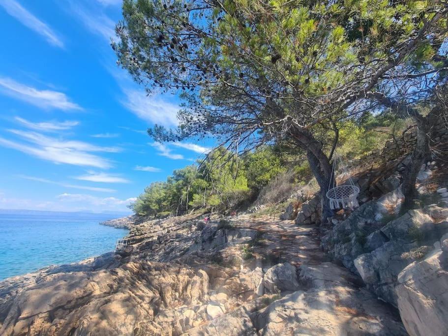 a tree on a rocky hill next to the ocean at Cottage made of stones and wood with the sea view. in Blato