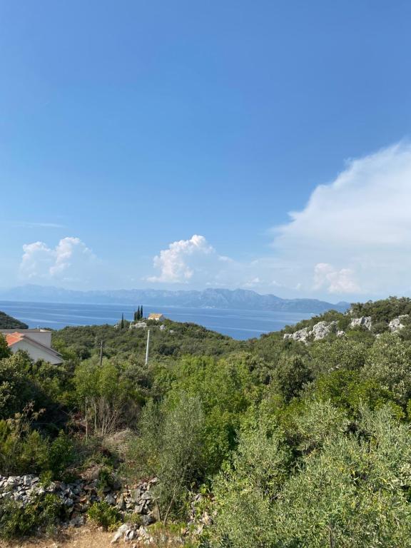 Príroda v okolí apartmánu