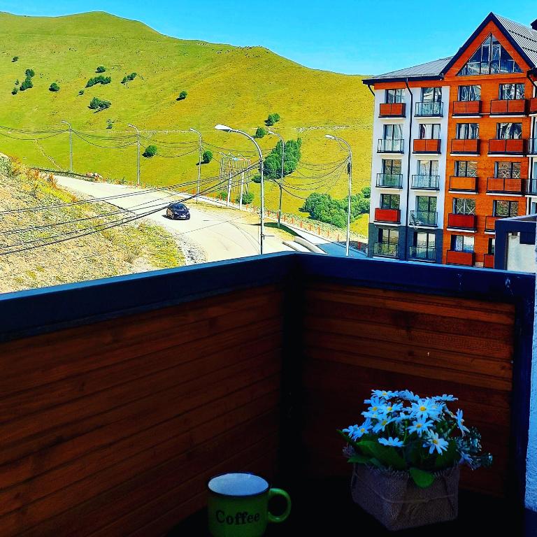 Nespecifikovaný výhled na hory nebo výhled na hory při pohledu z apartmánu