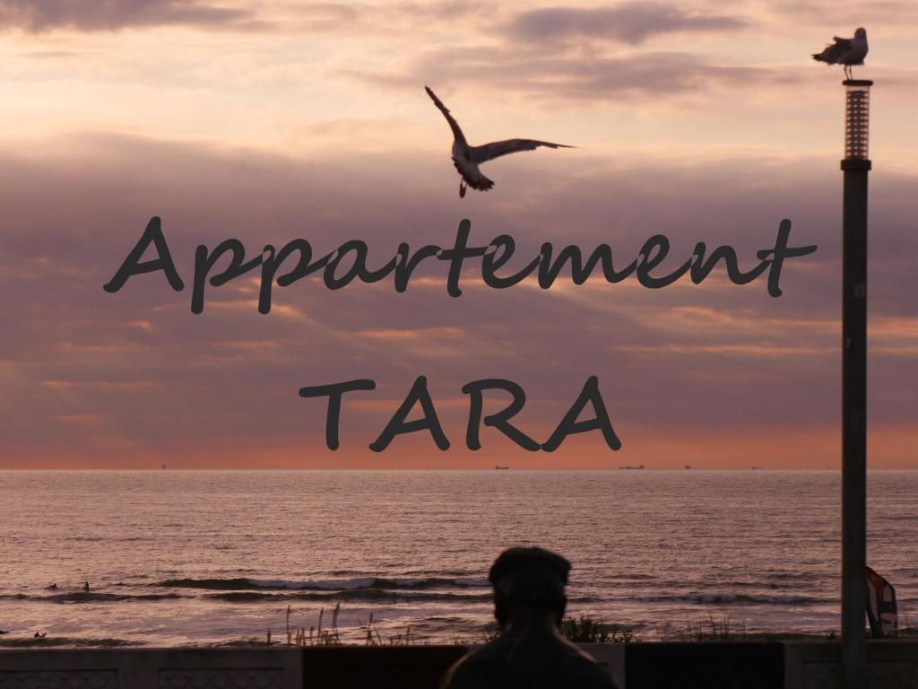 um pássaro a voar sobre o oceano com as palavras acordo tarra em Geräumiges und Modernes Apartment Tara am Meer mit Parkplatz! em Zandvoort