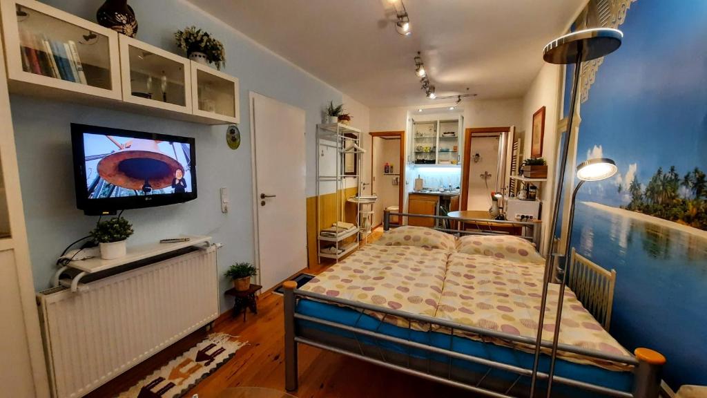 TV a/nebo společenská místnost v ubytování Apartmá Za kopcem