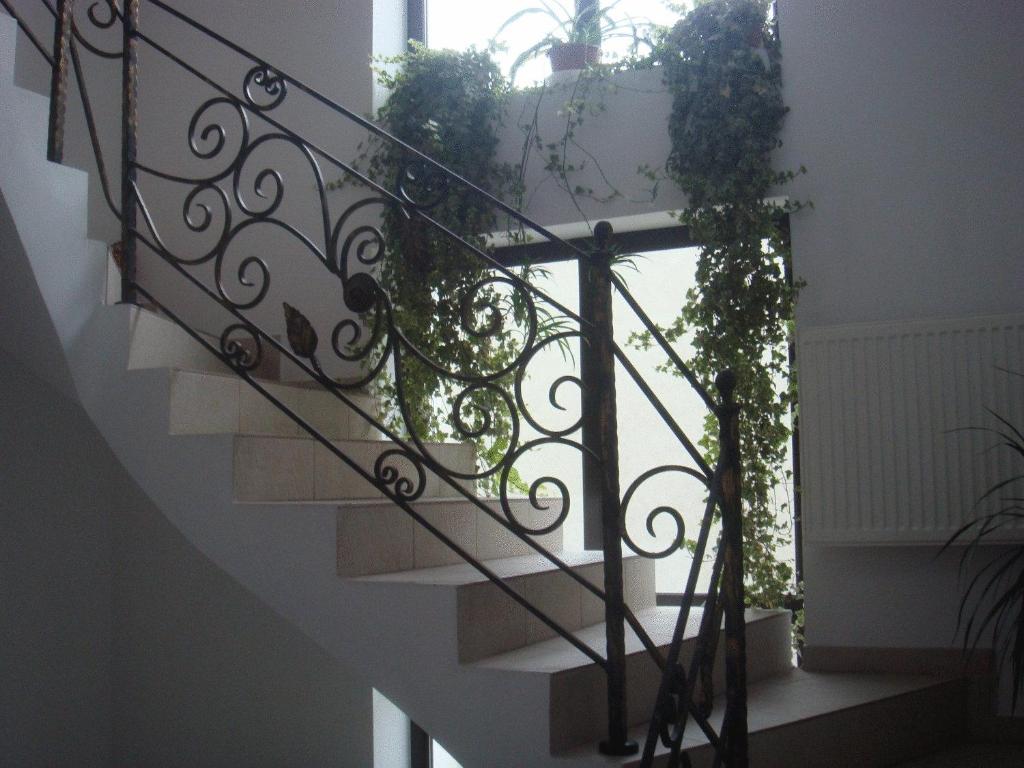 Villa Edera Residence - Gazda Profesionista - Resim 29