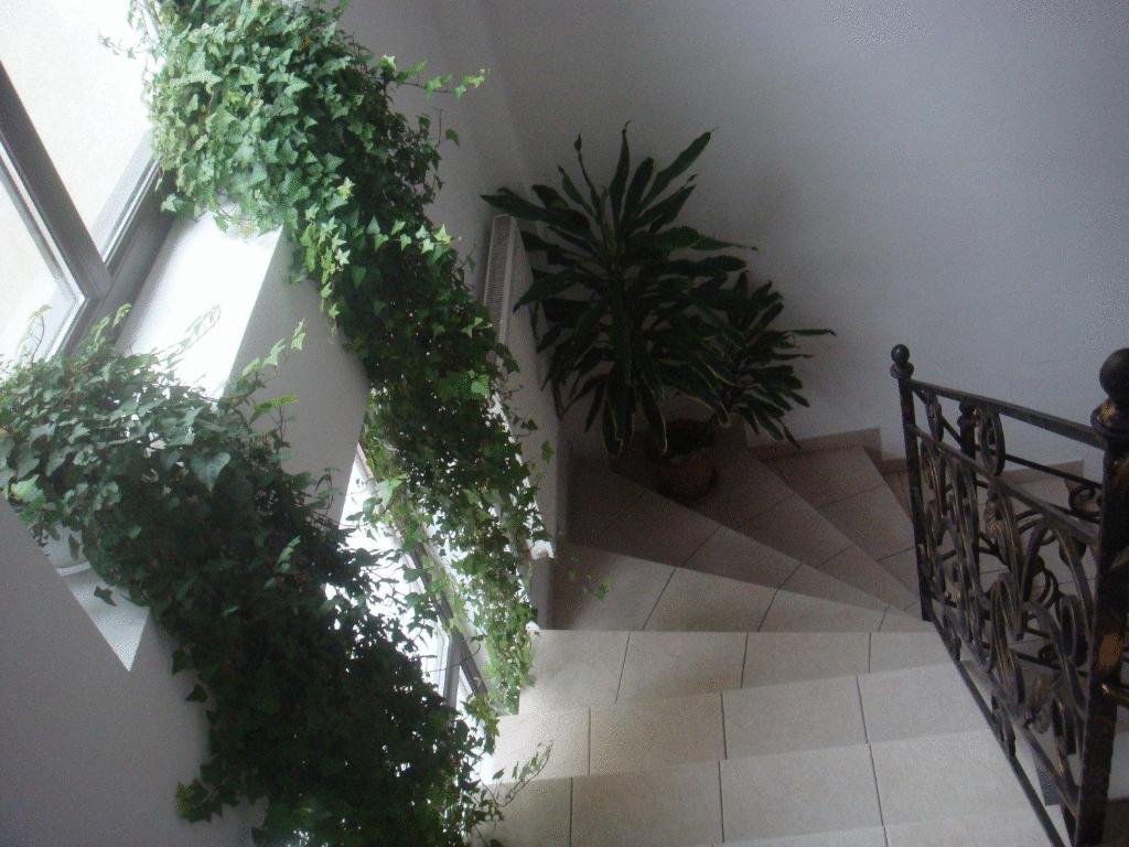 Villa Edera Residence - Gazda Profesionista - Resim 43