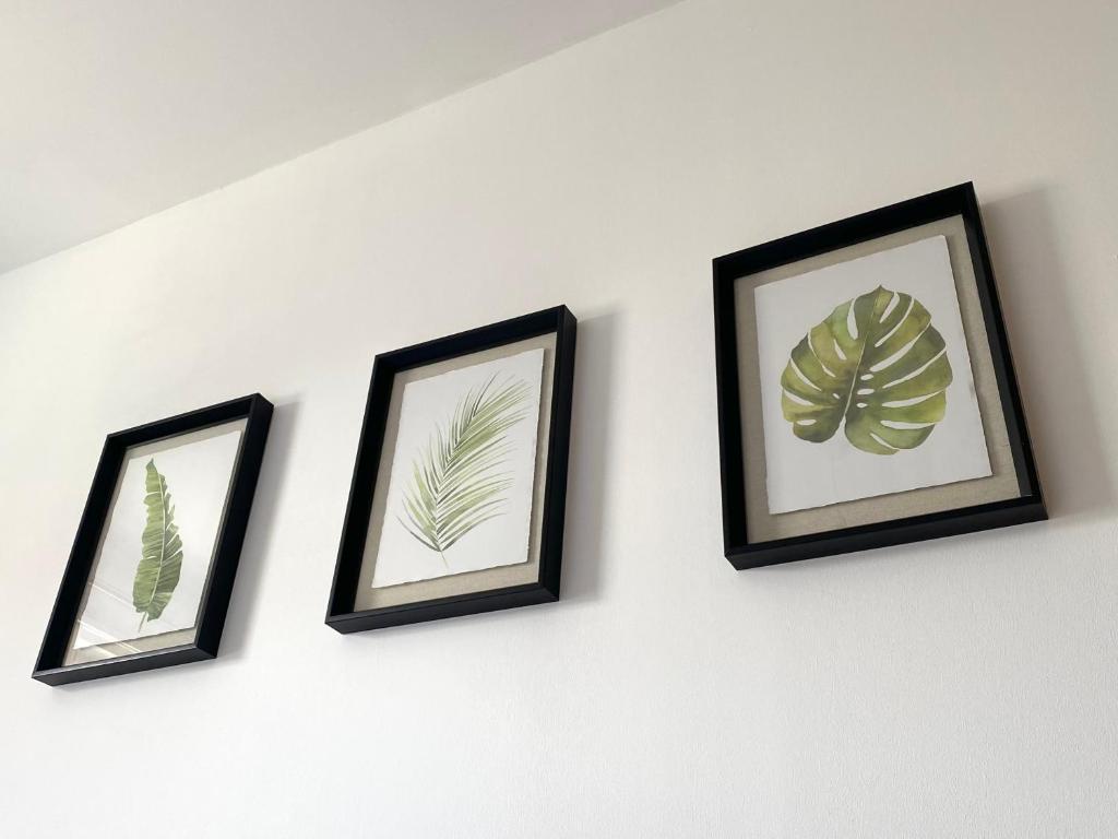 four framed prints of plants on a wall at Bright 2-bedroom apartment with parking in Montrose in Montrose