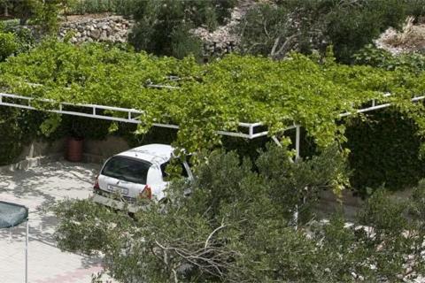 Zahrada ubytování Apartments by the sea Igrane, Makarska - 5266